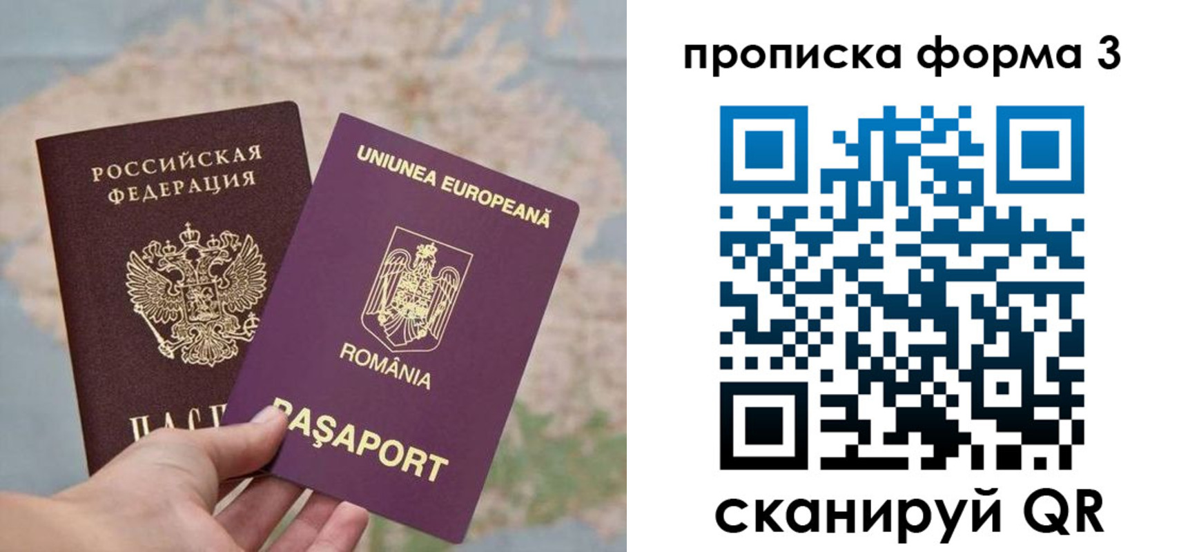 регистрация для дет. сада в Елизово